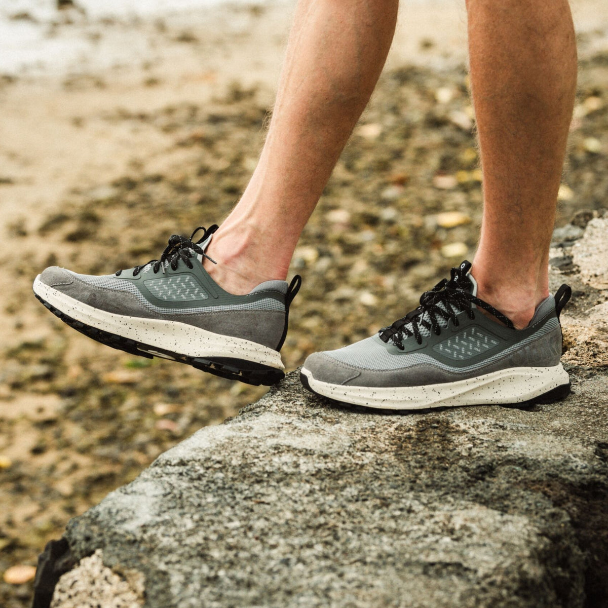 OluKai Premium | Makiki - Cloud Grey / Poi | Olukai