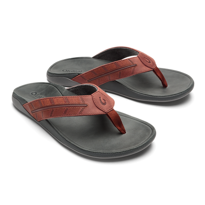 OluKai Everyday | Tuahine Palm - Canoe / Rock